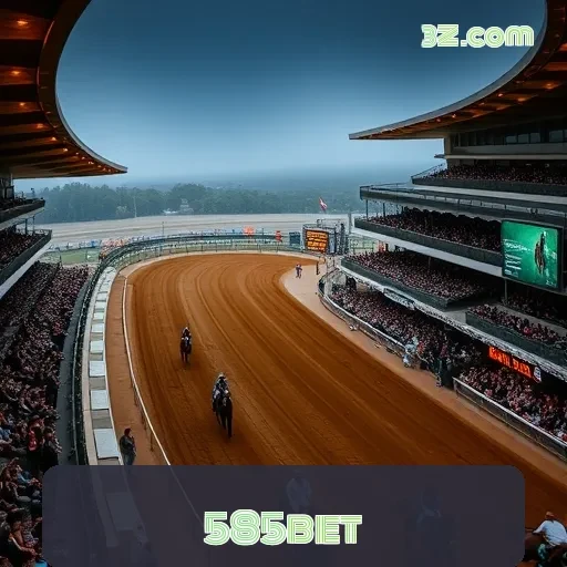 585bet: A Plataforma de Jogos que Transforma Sua Diversão